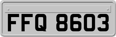 FFQ8603