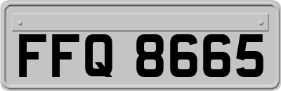 FFQ8665