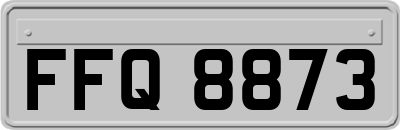 FFQ8873