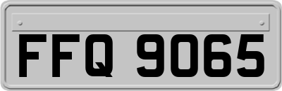 FFQ9065