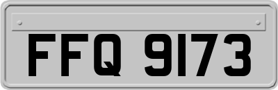 FFQ9173