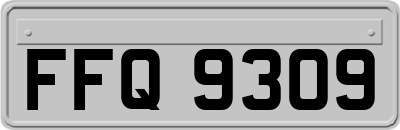 FFQ9309