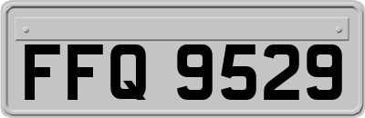 FFQ9529