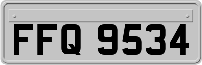 FFQ9534
