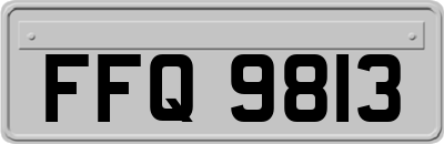 FFQ9813