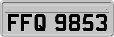 FFQ9853