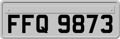FFQ9873