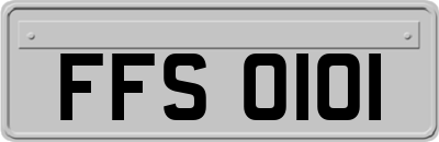 FFS0101