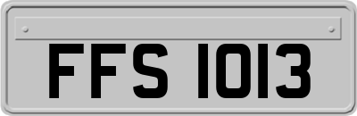 FFS1013