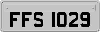 FFS1029
