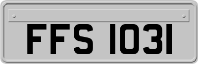 FFS1031