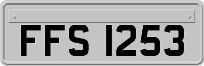 FFS1253