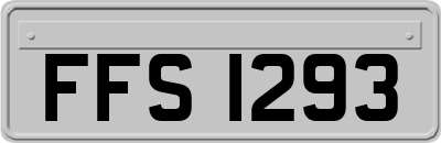 FFS1293