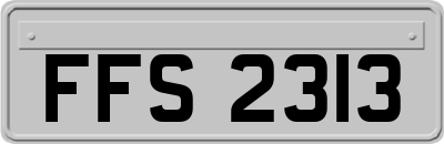 FFS2313