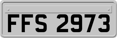 FFS2973