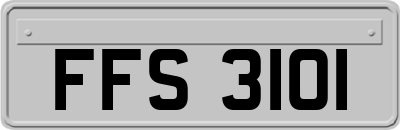 FFS3101