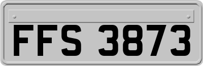 FFS3873