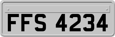 FFS4234