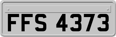 FFS4373