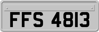 FFS4813