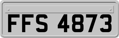 FFS4873