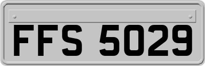 FFS5029