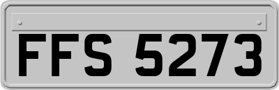 FFS5273