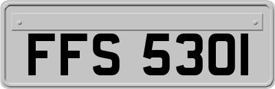FFS5301