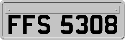 FFS5308