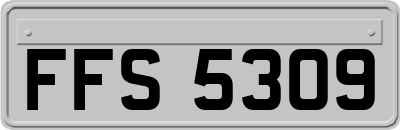 FFS5309