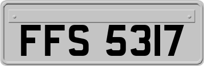 FFS5317