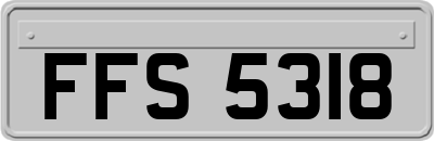 FFS5318