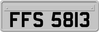 FFS5813