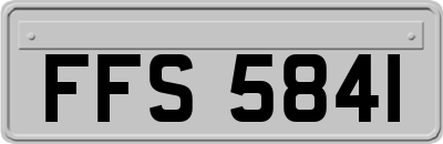 FFS5841