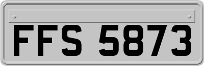 FFS5873