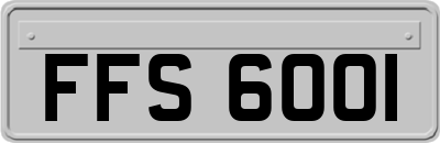 FFS6001