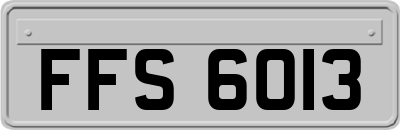 FFS6013