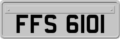 FFS6101