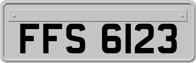 FFS6123