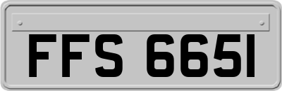 FFS6651