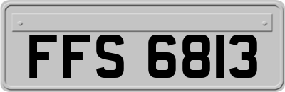 FFS6813