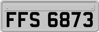 FFS6873
