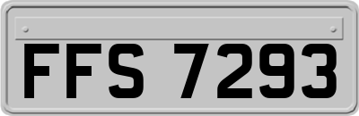 FFS7293