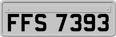 FFS7393