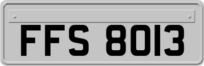 FFS8013
