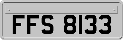 FFS8133