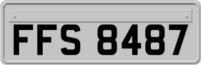 FFS8487