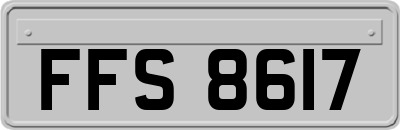 FFS8617