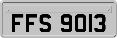 FFS9013