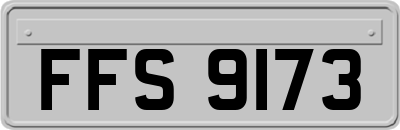 FFS9173
